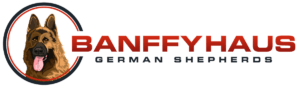 Banffy Haus Logo