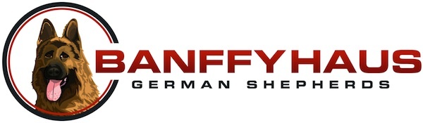 Our Banffy Haus Logo