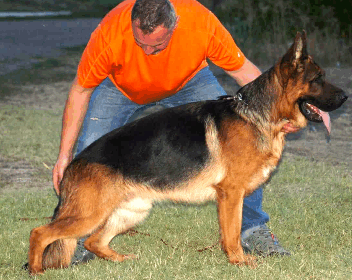 axel 2