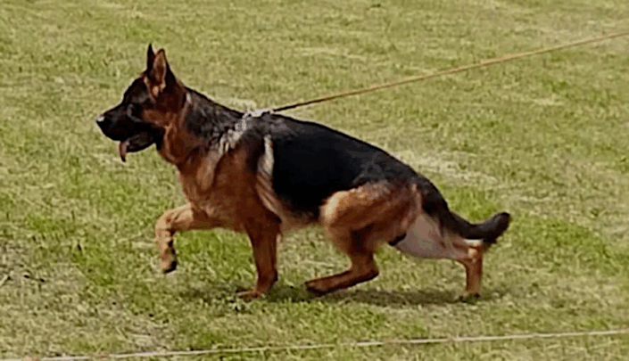 axel