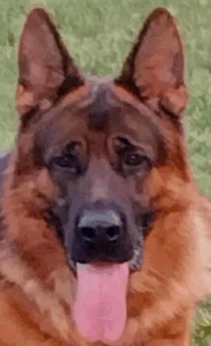 axel head