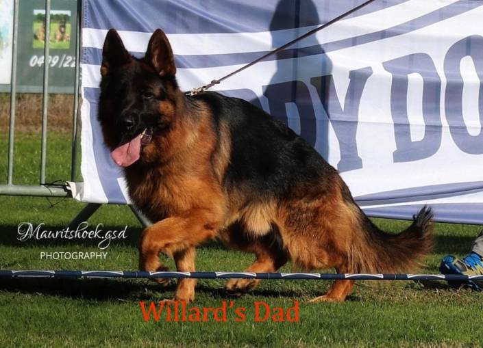 willard father