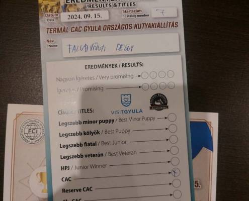 Best of gender champion