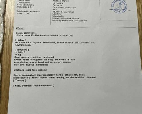azaria hw sperm health